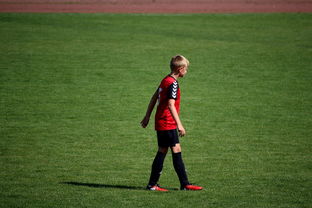 华体会体育在线登录-NBA球员训练方法创新，nba球员训练视频,篮球技术